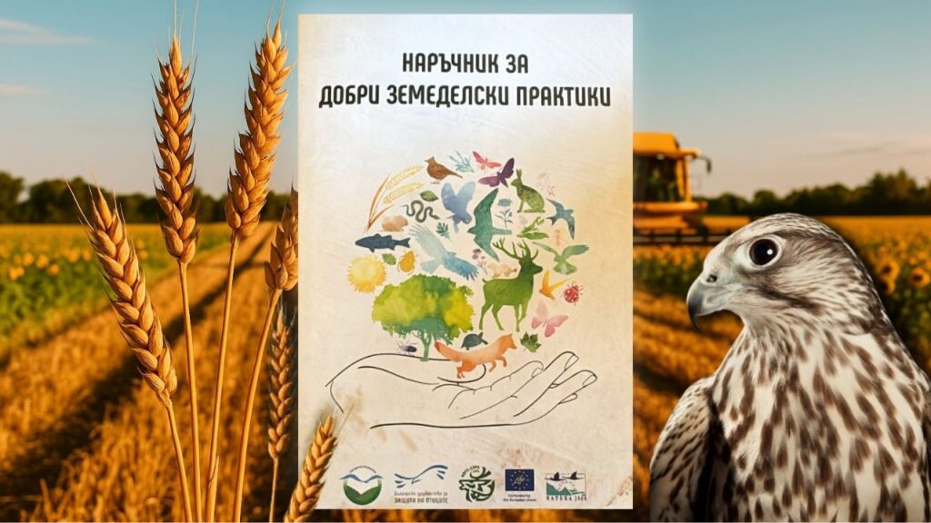 наръчник практики