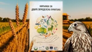 наръчник практики