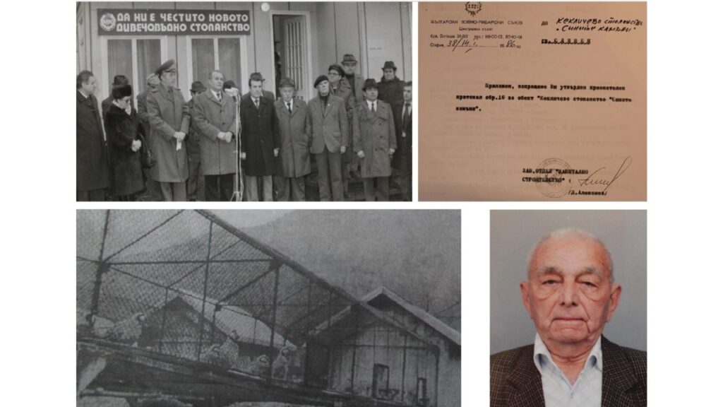 сините камъни