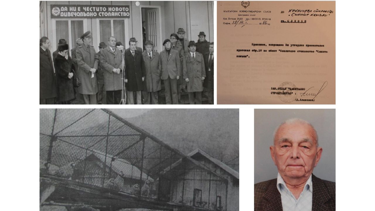 сините камъни