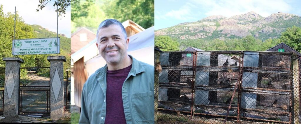 сините камъни