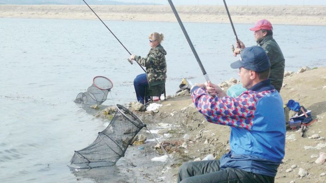 актуално 26 ноември