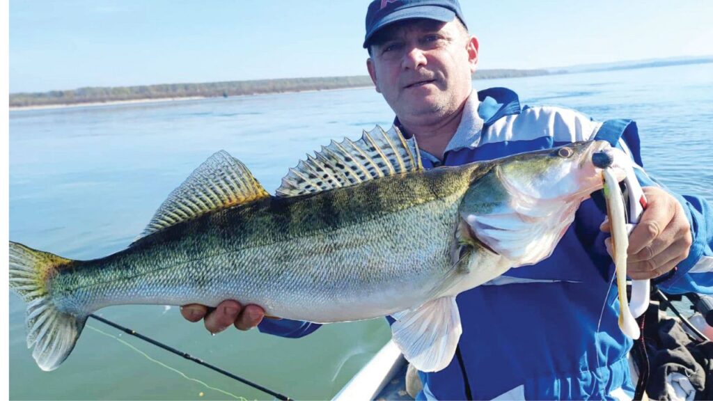 дунав бели риби