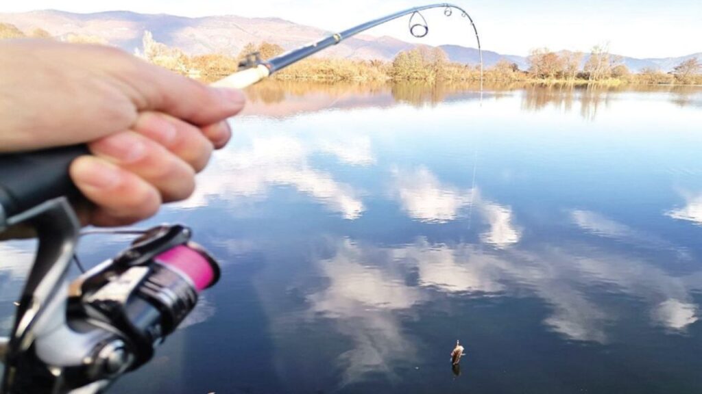 костура светлината