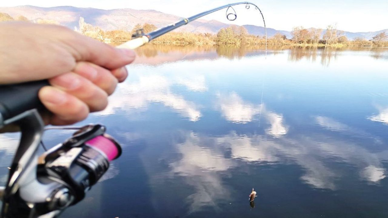 костура светлината