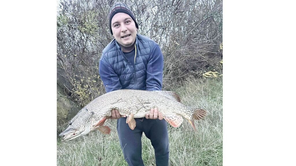 огоста щука