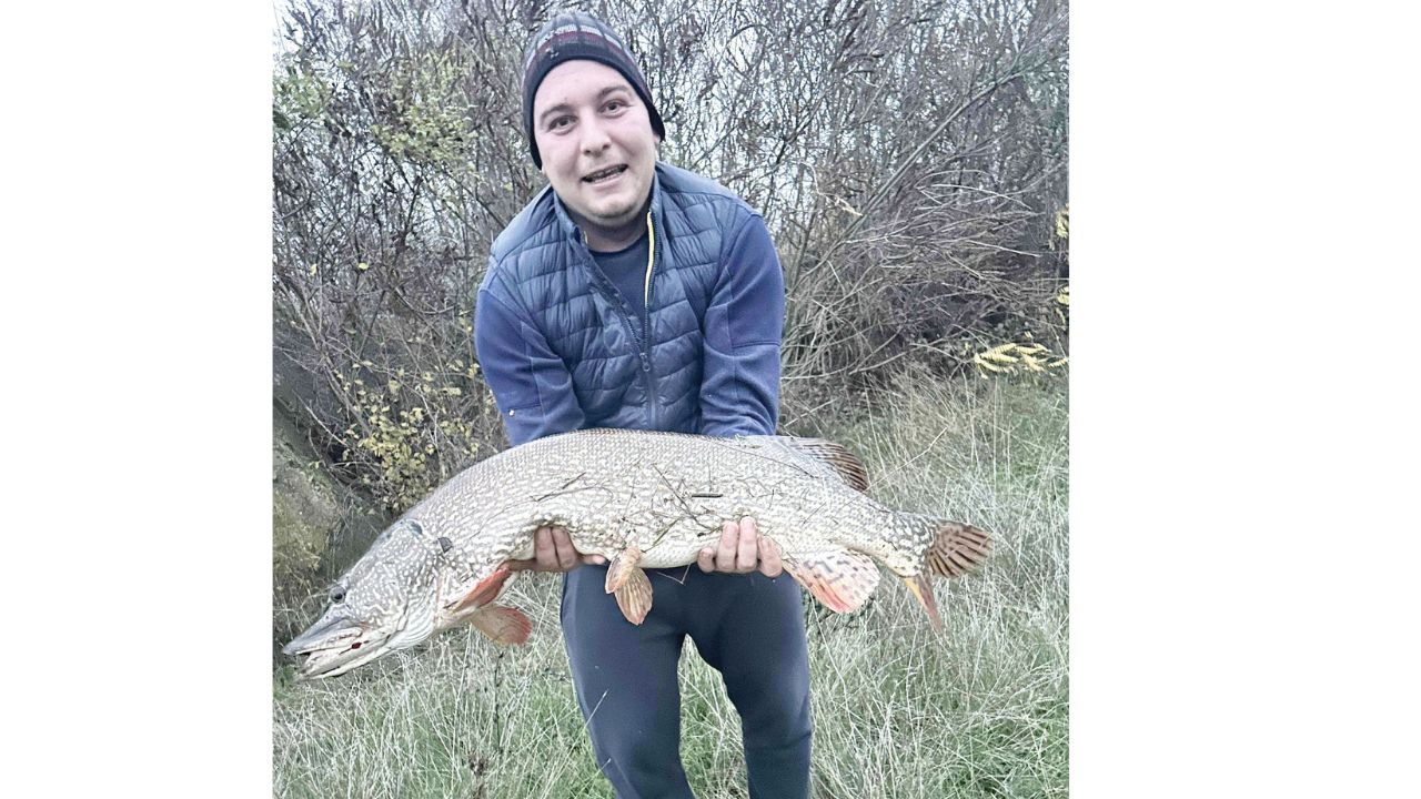 огоста щука