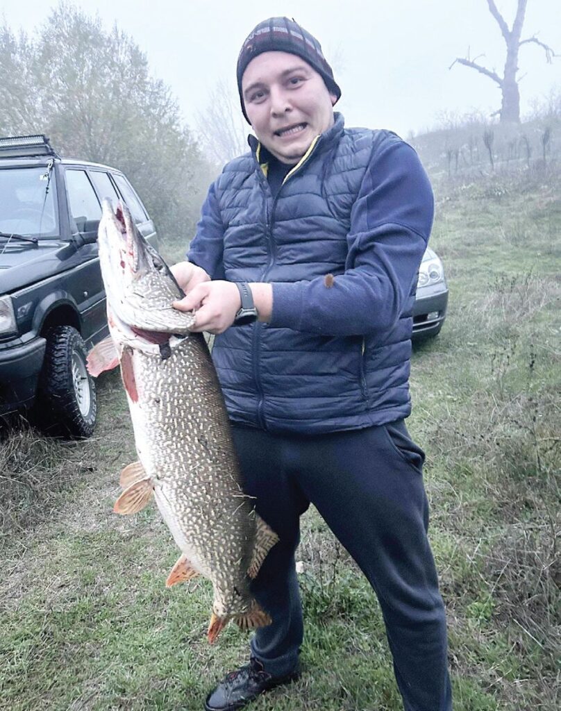 огоста щука