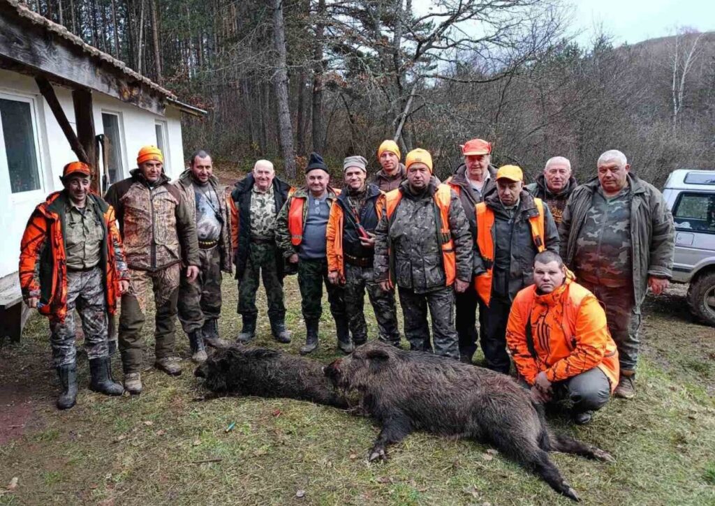 годеч вълци