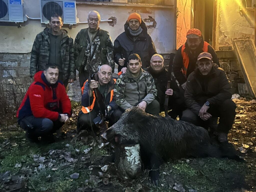 годеч вълци