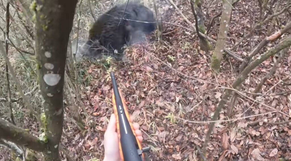 ранен глиган