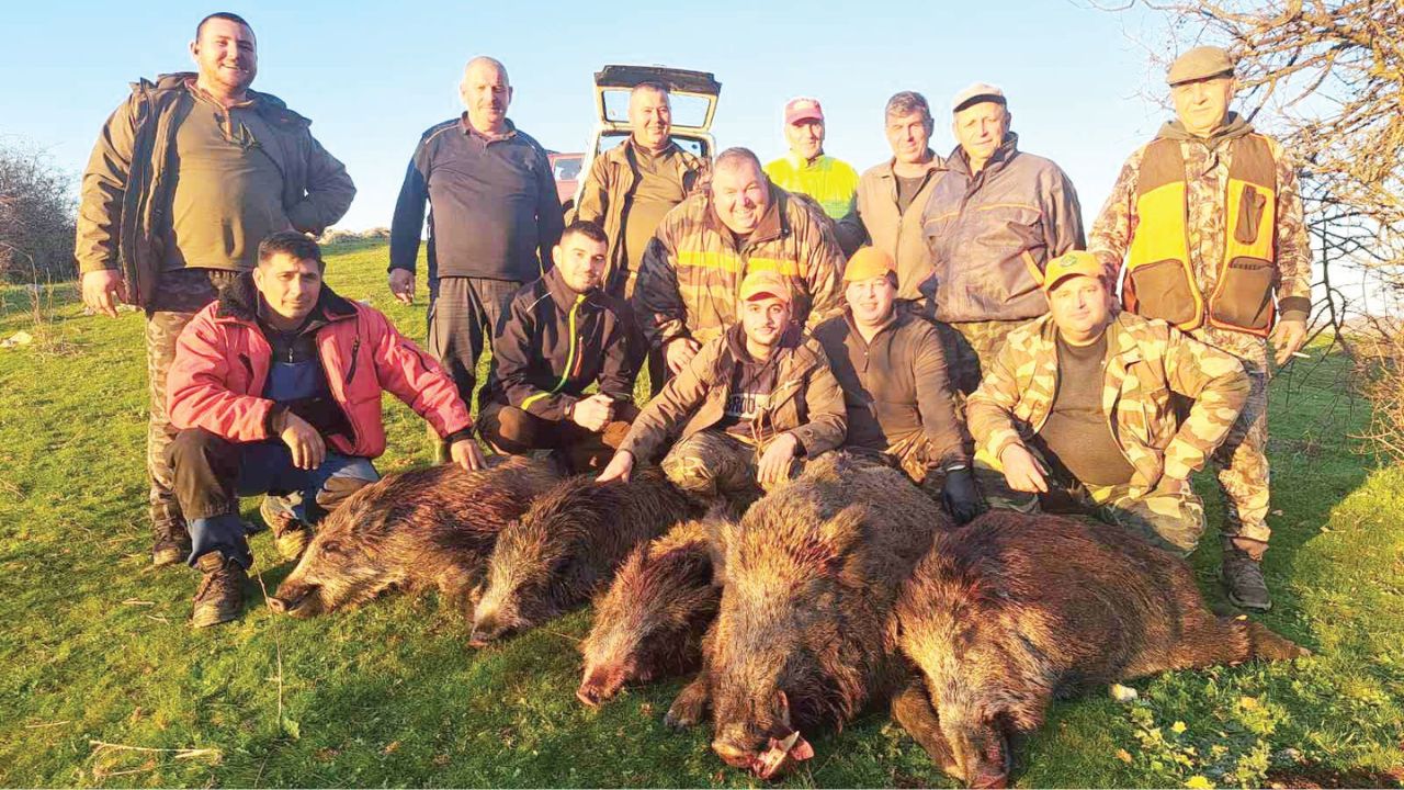 крумовград медали