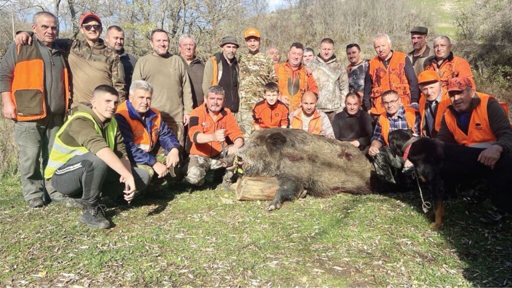 боровица лов