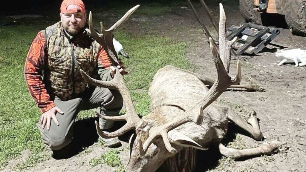 златни рога