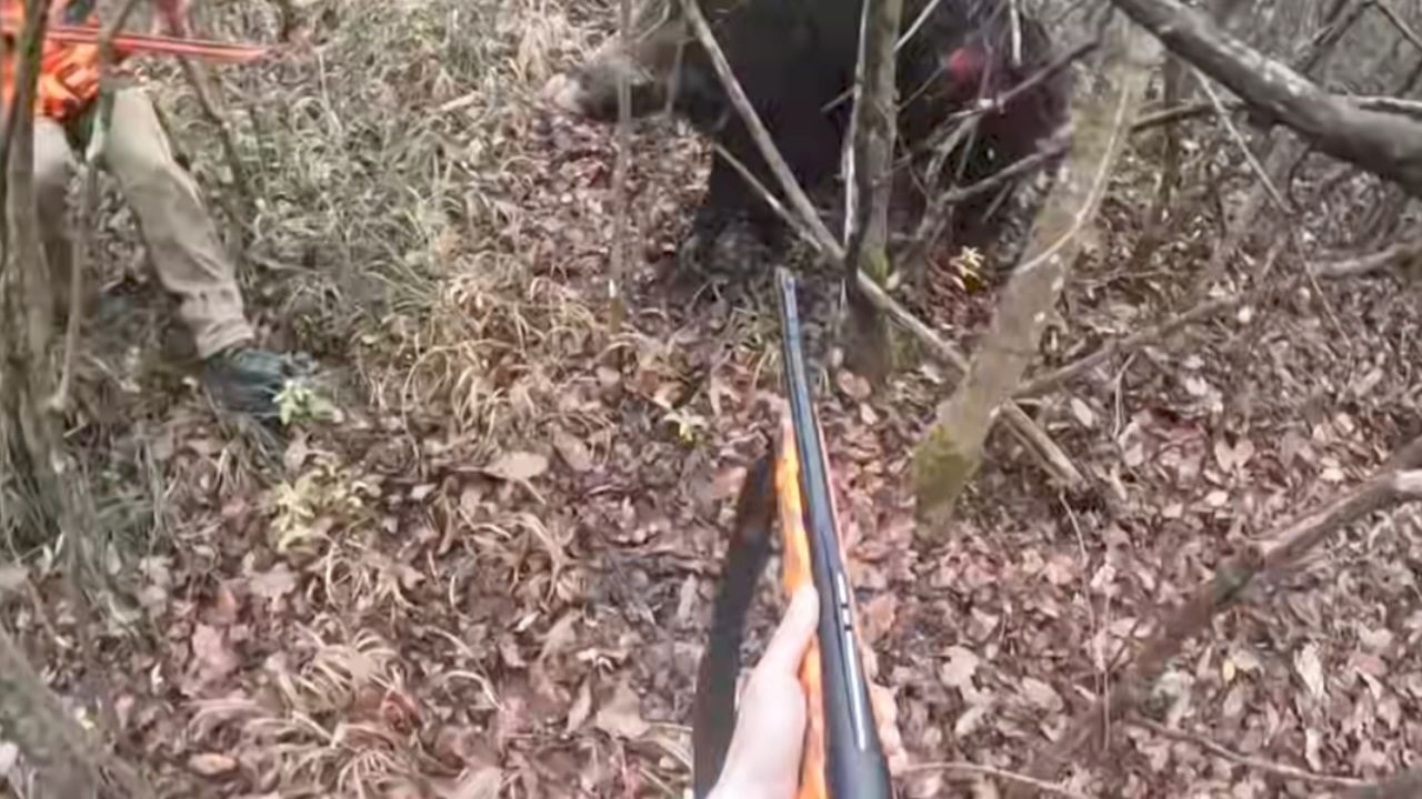 ранен глиган