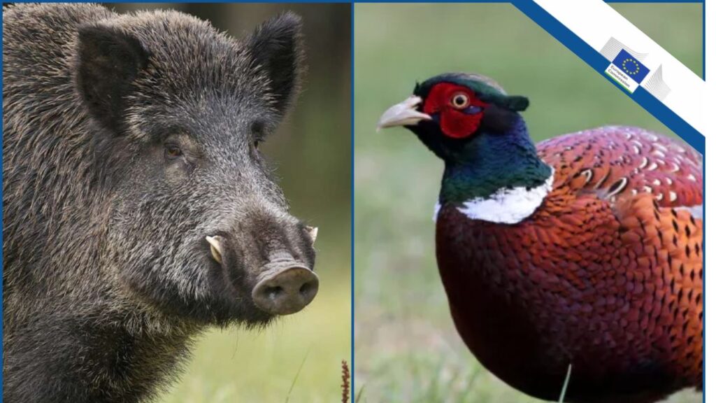 европа епидемии