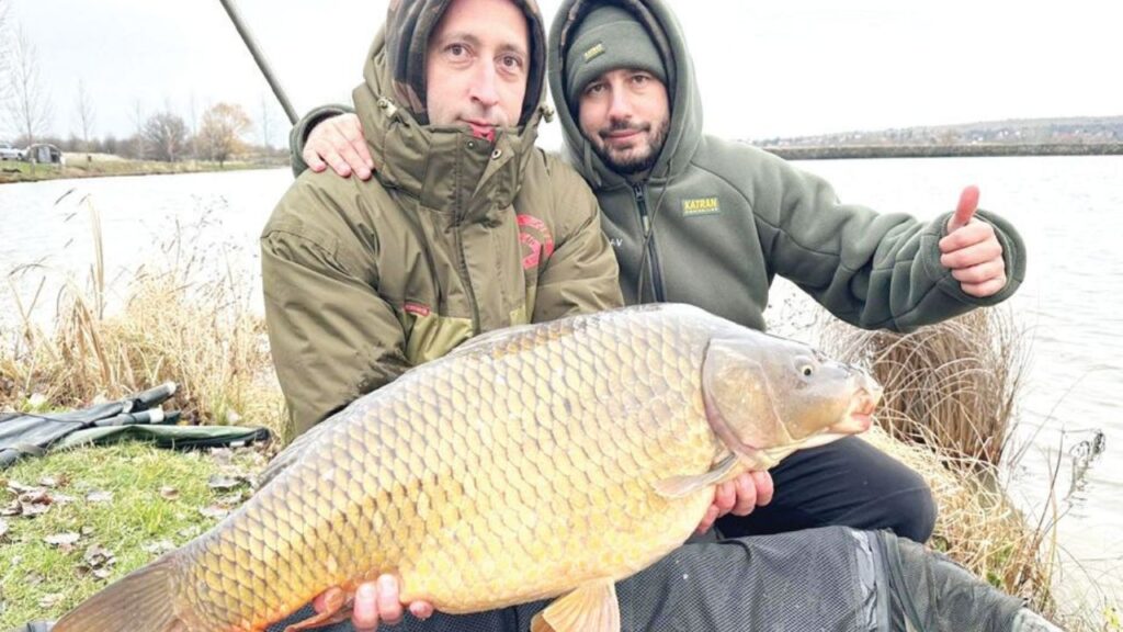 актуално 12 декември