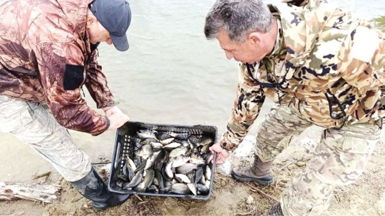 зарибиха северна българия