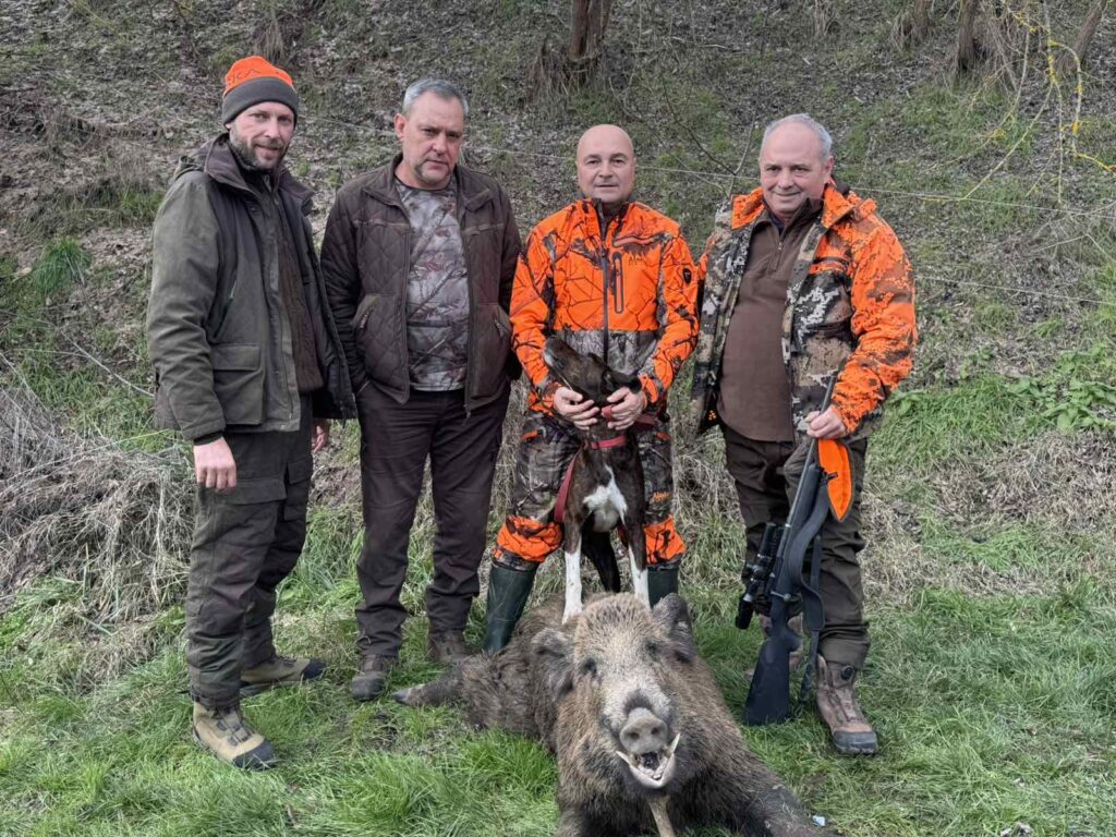 стежерово лов