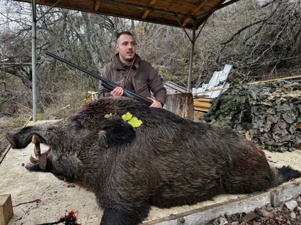 красава лов