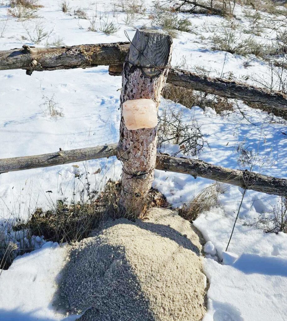 Благоевградските дружини 