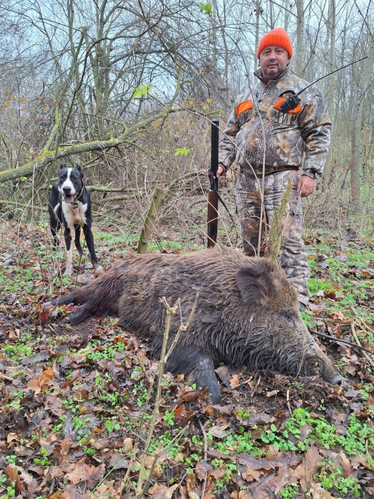 горичево лов