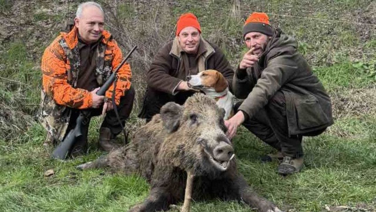 стежерово лов