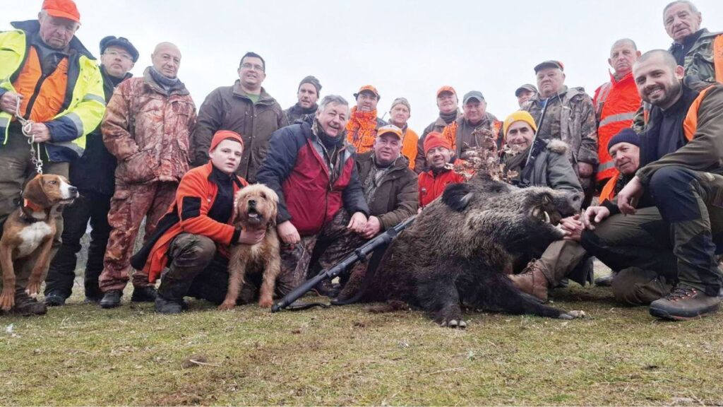 девин отстрел