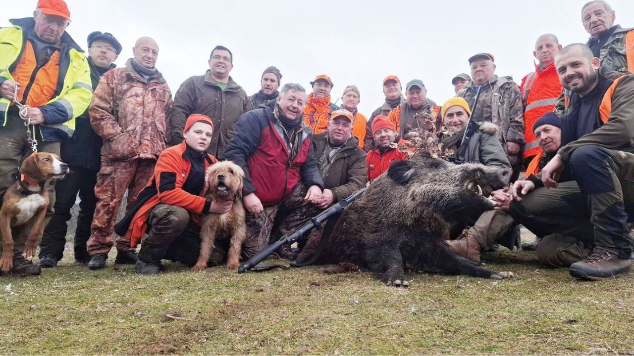 девин отстрел