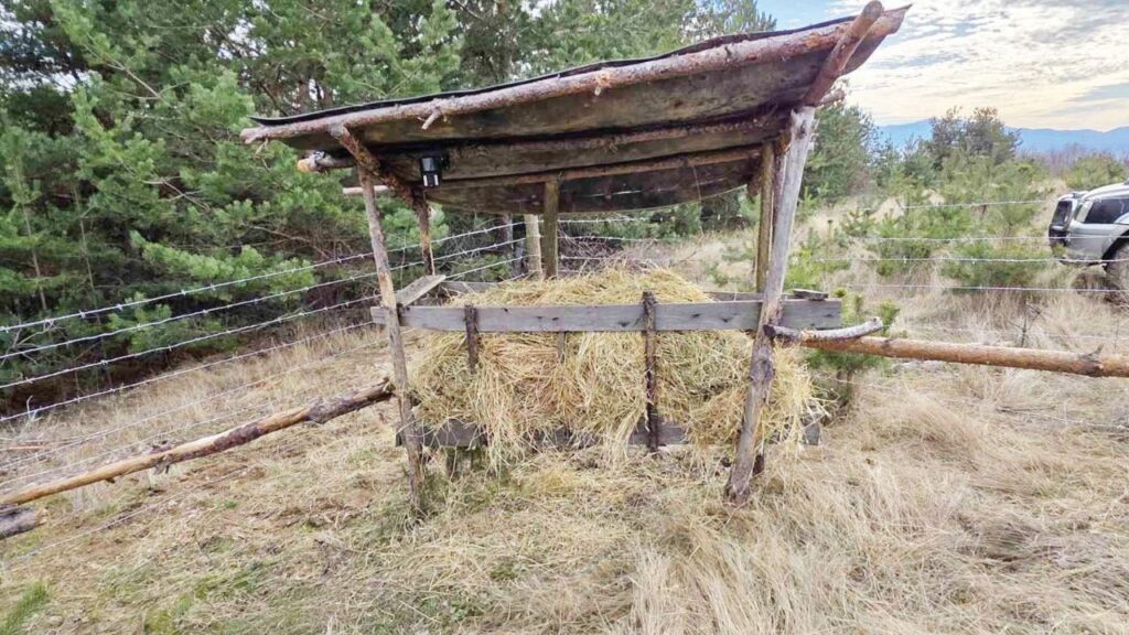 Благоевградските дружини