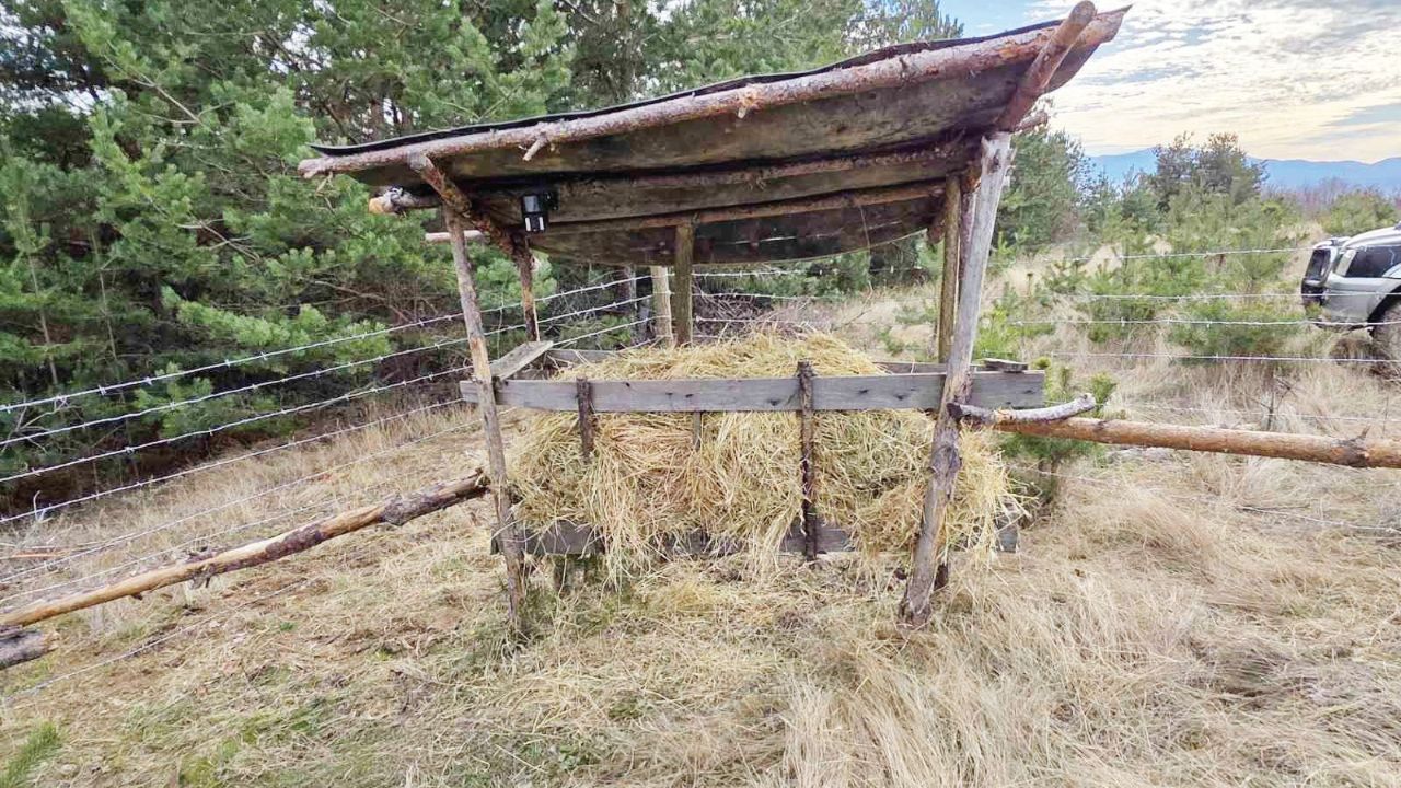 Благоевградските дружини