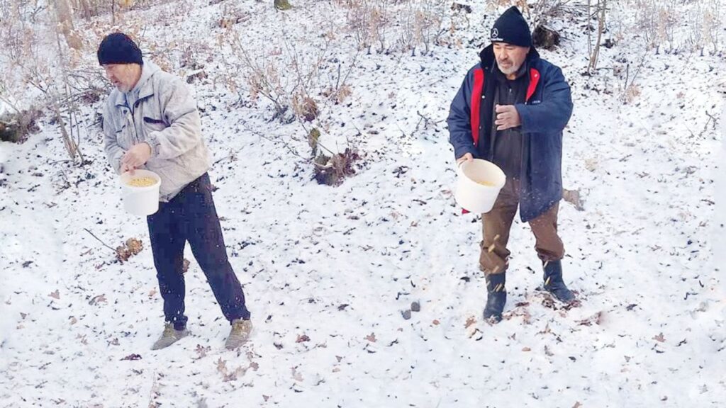 снегът подхранване хасково