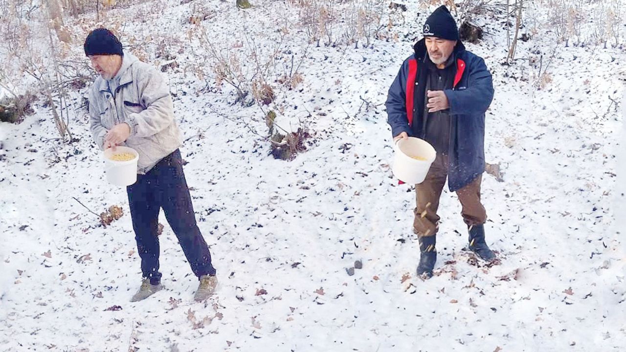 снегът подхранване хасково