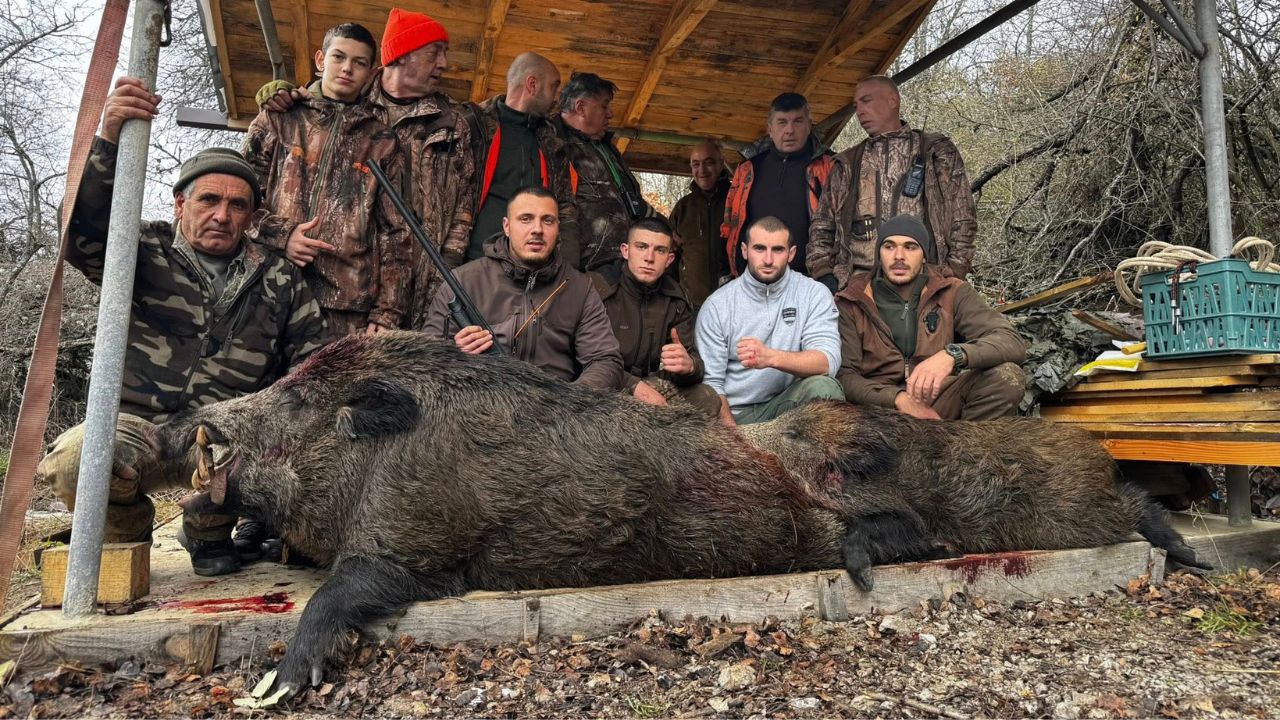 красава лов