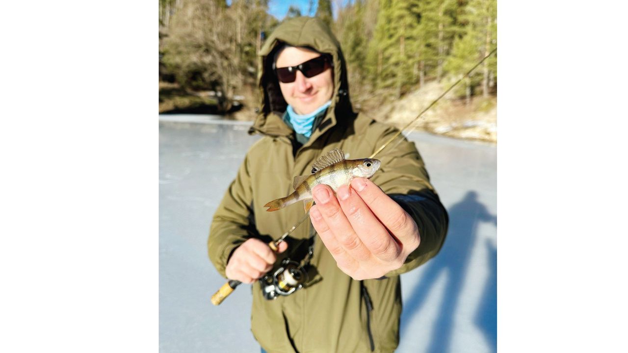 актуално 29 януари