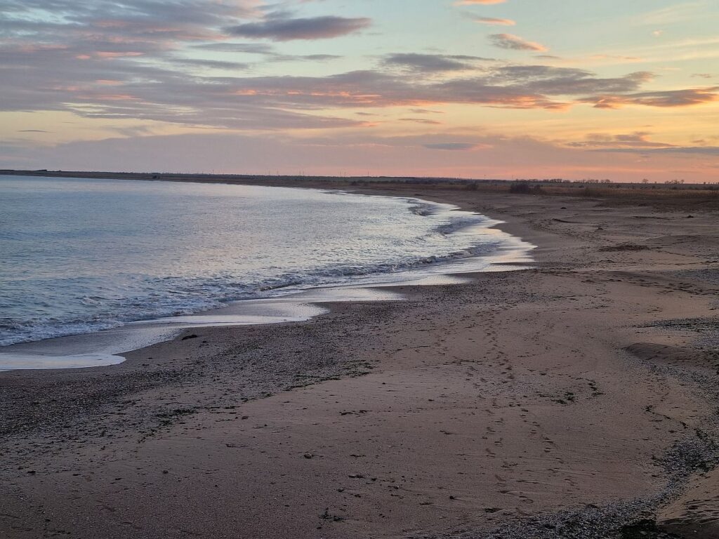 водоплаващи черноморска добруджа