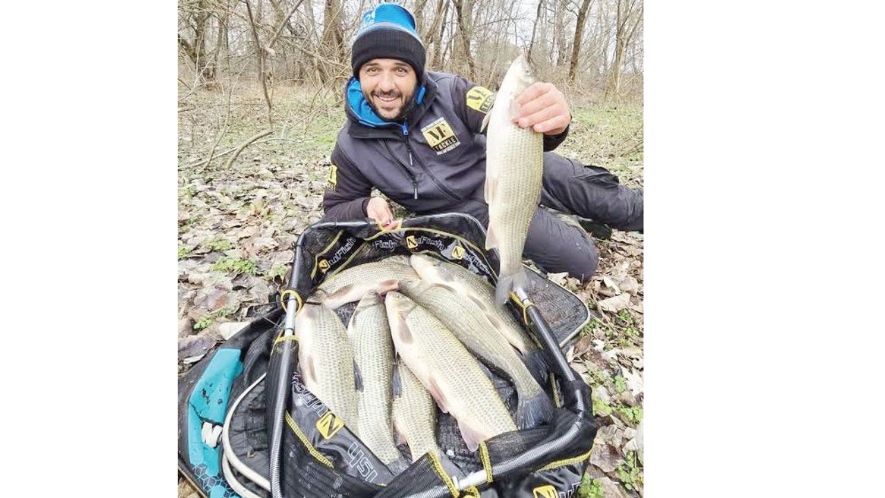 скобари марица