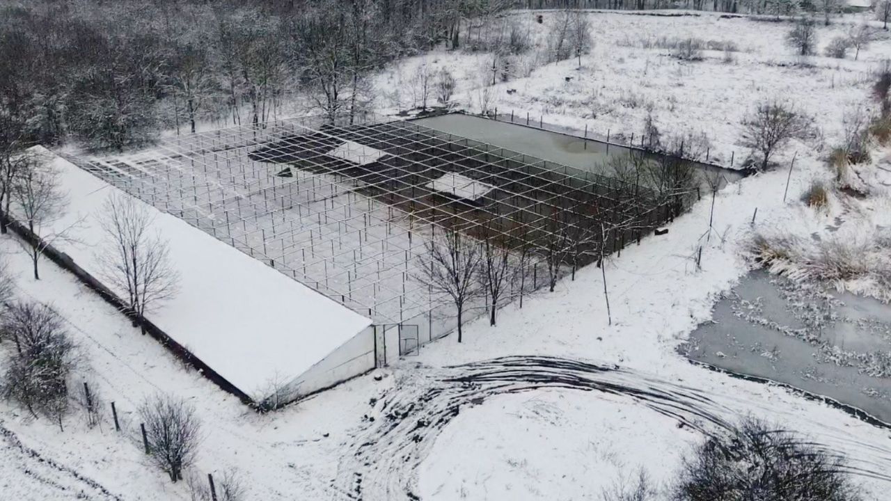 ново стопанство водоплаващ дивеч