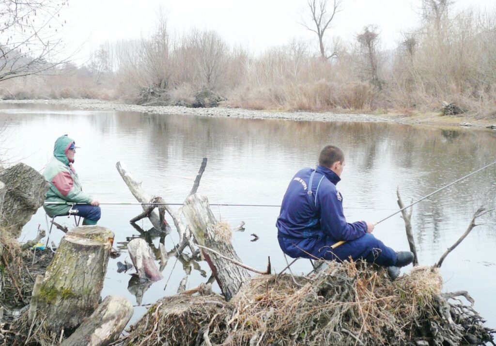 надежда тополница
