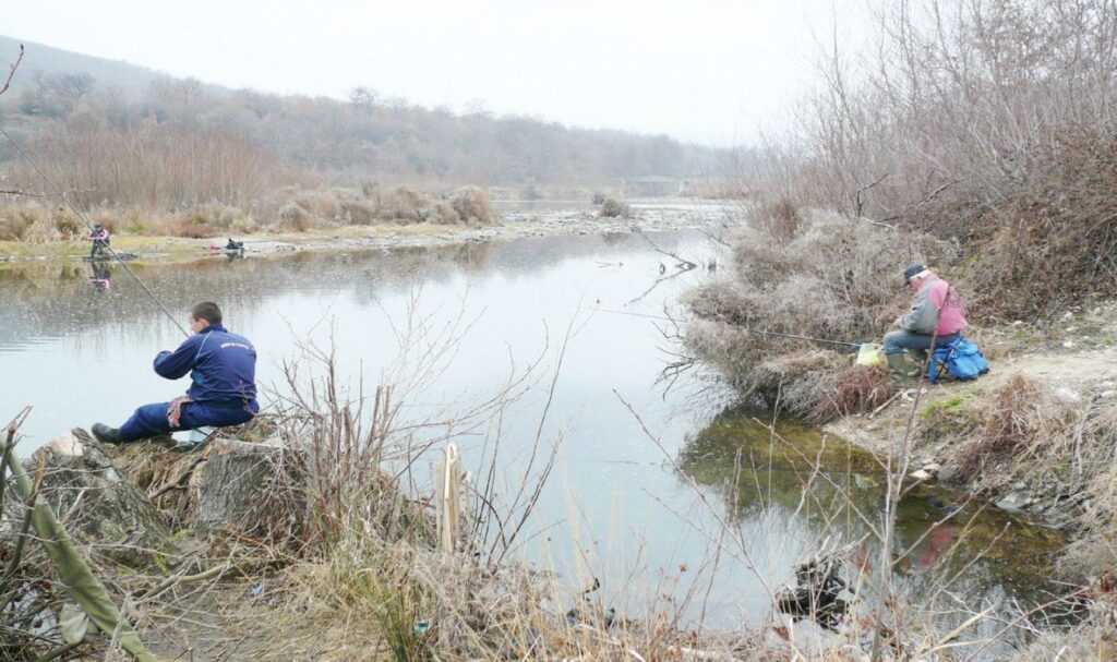 надежда тополница