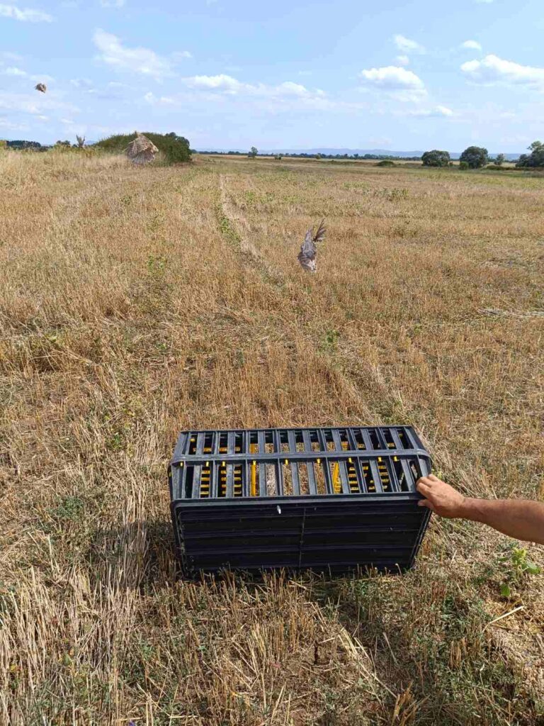 разселване софия-изток