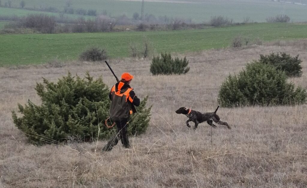 пазарджик купите