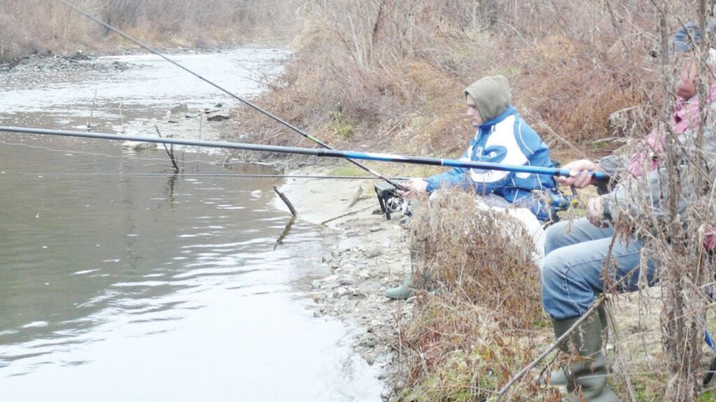 надежда тополница