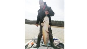 сомският сезон