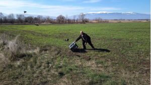 разселване софия-изток