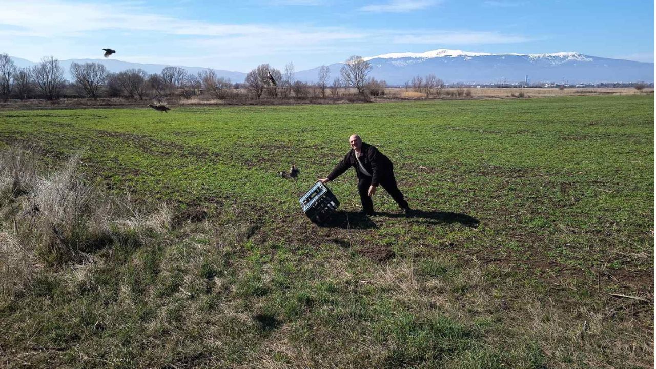разселване софия-изток