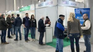 живот за сокола