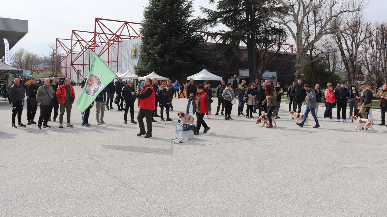 кучета парад