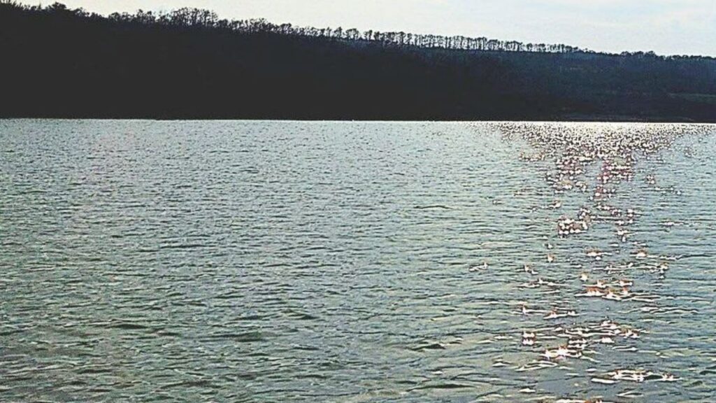 язовирите се пълнят