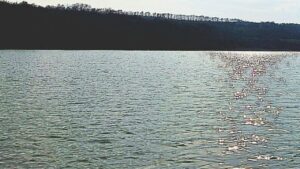 язовирите се пълнят